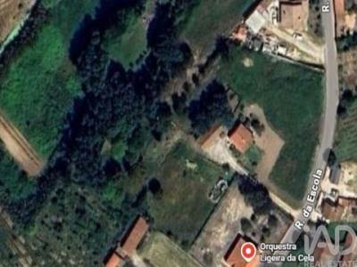 Acheter Terrain 4852 m2 Alcobaca