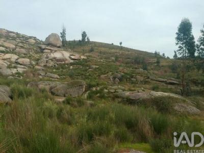 Annonce Vente Terrain Oliveira-do-hospital