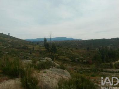 Acheter Terrain 16000 m2 Oliveira-do-hospital