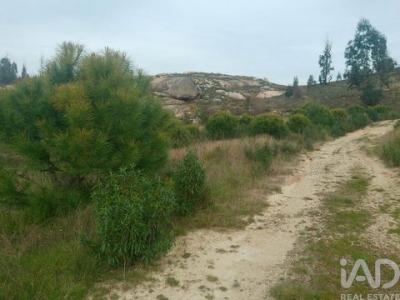 Acheter Terrain Oliveira-do-hospital r�gion COIMBRA