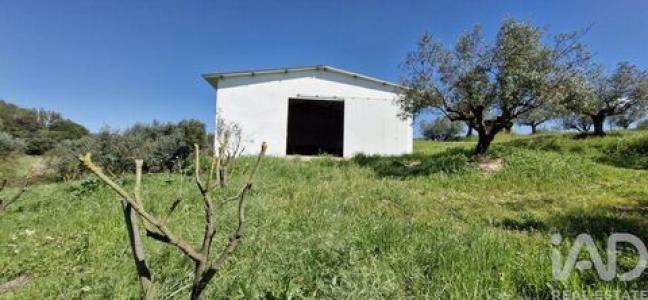 Annonce Vente Terrain Rio-maior