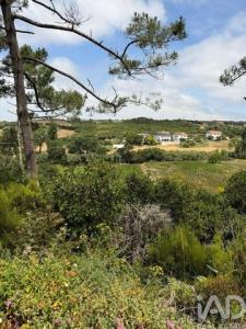 Acheter Terrain 3500 m2 Mafra