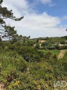 Acheter Terrain Mafra r�gion LISBOA