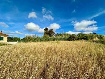 Acheter Terrain 950 m2 Mafra