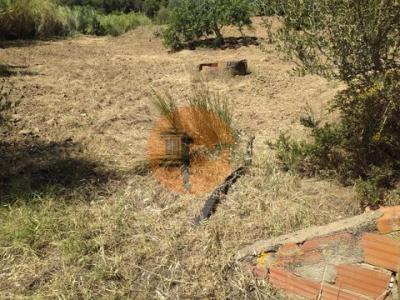Acheter Terrain 32767 m2 Castro-marim