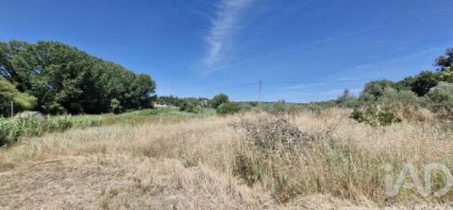 Acheter Terrain 1760 m2 Rio-maior