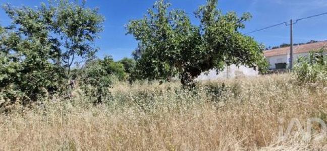 Acheter Terrain Rio-maior r�gion SANTAREM