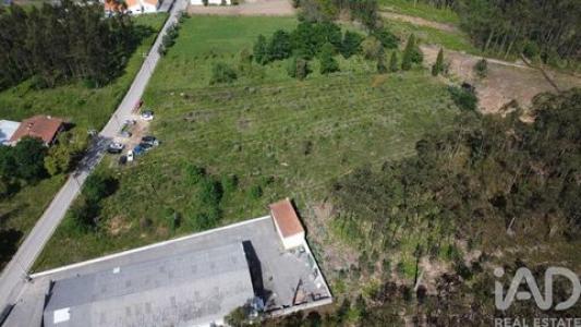Vente Terrain Anadia SANGALHOS 01