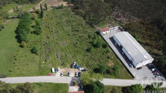 Acheter Terrain Anadia r�gion AVEIRO