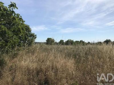 Acheter Terrain Leiria r�gion LEIRIA