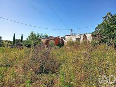 Annonce Vente Maison Ferreira-do-zezere