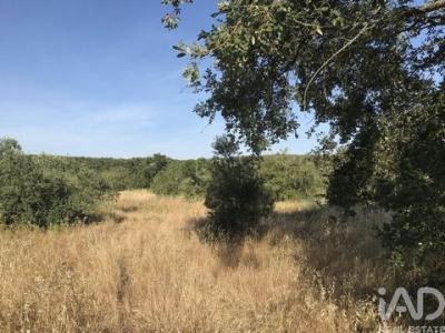 Annonce Vente Terrain Ferreira-do-zezere