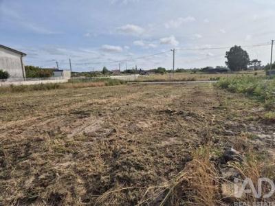 Vente Terrain Vagos PONTE-DE-VAGOS-E-SANTA-CATARINA 01