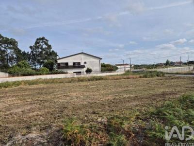 Acheter Terrain Vagos r�gion AVEIRO