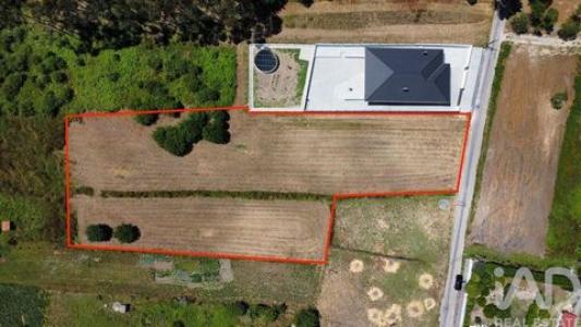 Acheter Terrain Oliveira-do-bairro r�gion AVEIRO