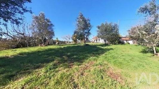 Vente Maison Serta CASTELO 05 au Portugal