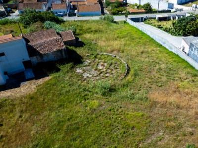 Acheter Terrain Alcobaca r�gion LEIRIA