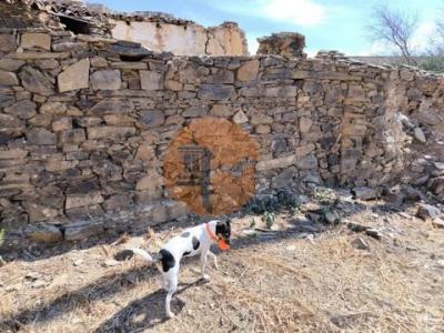 Annonce Vente Maison Tavira