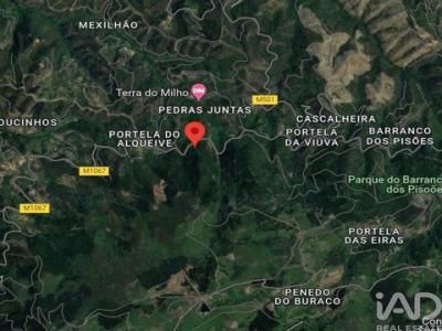 Annonce Vente Terrain Monchique