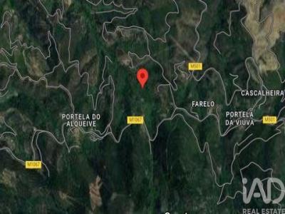Annonce Vente Terrain Monchique