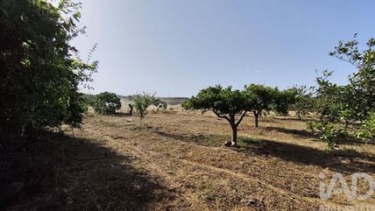 Acheter Maison Faro r�gion FARO