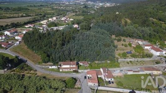 Acheter Terrain Coimbra r�gion LEIRIA