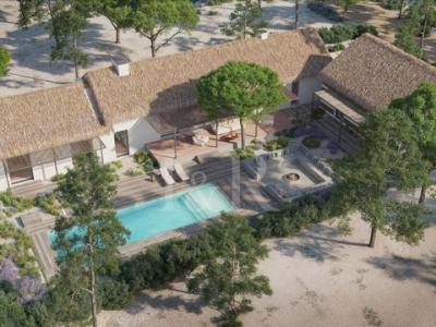 Annonce Vente Maison Alcacer-do-sal
