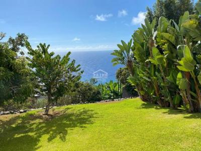 Annonce Vente 3 pi�ces Maison Calheta