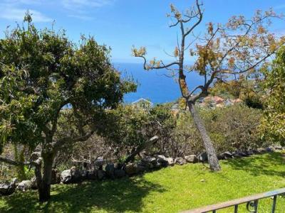 Acheter Maison Calheta r�gion MADEIRA