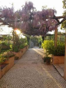 Annonce Vente 24 pi�ces Maison Lisboa