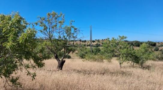 Annonce Vente Terrain Lagoa