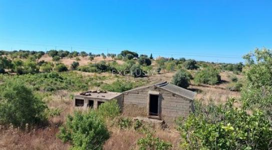 Acheter Terrain 114 m2 Lagoa