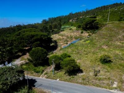 Acheter Terrain Nazare r�gion LEIRIA