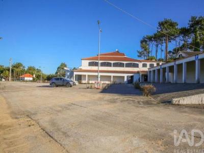 Acheter Local commercial 1475 m2 Mafra