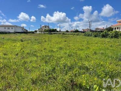 Acheter Terrain 1046 m2 Esposende