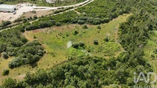 Annonce Vente Terrain Rio-maior