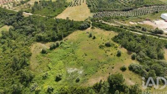 Acheter Terrain 32767 m2 Rio-maior