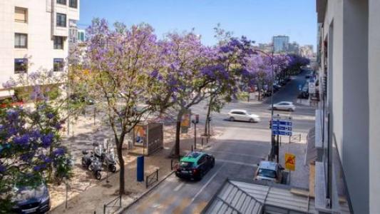 Annonce Vente 3 pi�ces Appartement Lisboa
