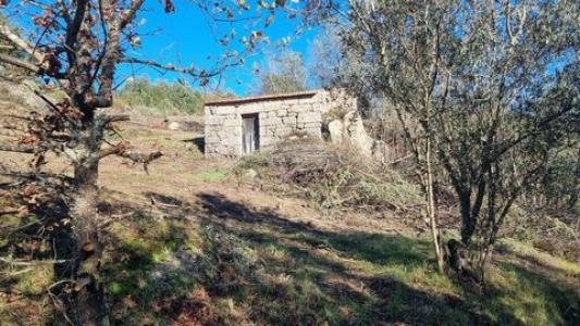 Annonce Vente Terrain Fornos-de-algodres