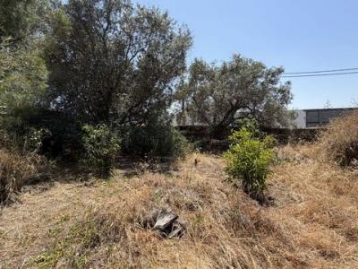 Acheter Maison 75 m2 Castro-verde