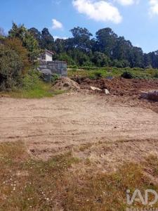 Vente Terrain Paredes BALTAR 01 au Portugal