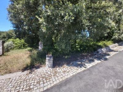 Vente Terrain Porto-de-mos ALVADOS-E-ALCARIA 10 au Portugal