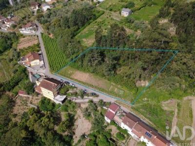 Acheter Terrain 3420 m2 Coimbra