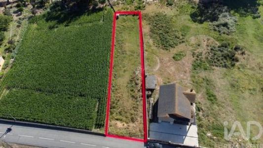 Acheter Terrain 1180 m2 Estarreja