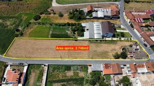Annonce Vente Terrain Aveiro