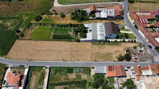 Acheter Terrain Aveiro r�gion AVEIRO