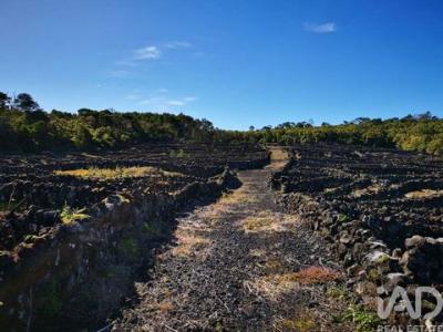 Annonce Vente Terrain Madalena