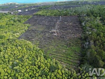 Acheter Terrain Madalena r�gion SANTAREM