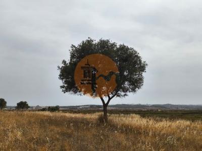 Acheter Terrain Castro-marim r�gion FARO