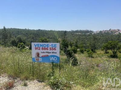 Acheter Terrain 2880 m2 Pombal